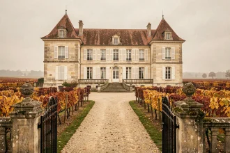 Château habitable entouré de vignes à vendre dans le Bordelais en automne